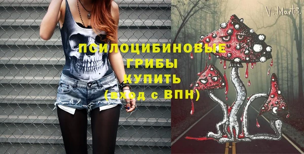 ПСИЛОЦИБИНОВЫЕ ГРИБЫ Белокуриха