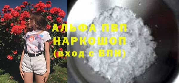 ПСИЛОЦИБИНОВЫЕ ГРИБЫ Белокуриха