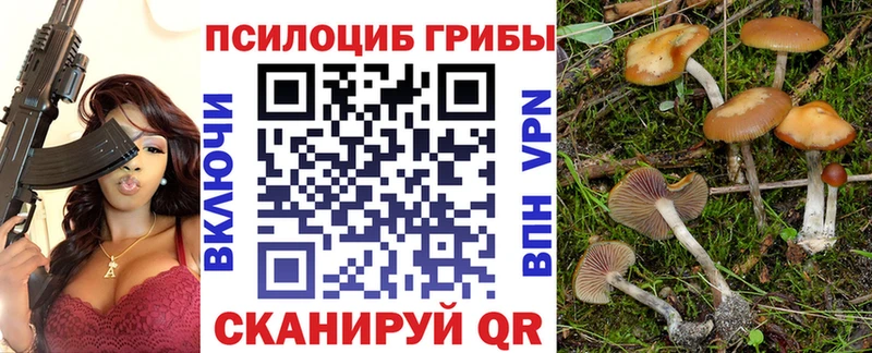 Галлюциногенные грибы Cubensis  Салаир 